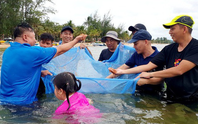 Ruốc vô bờ đỏ biển Phú Quốc, chủ khách sạn và khách kéo nhau xúc ruốc, kéo cá