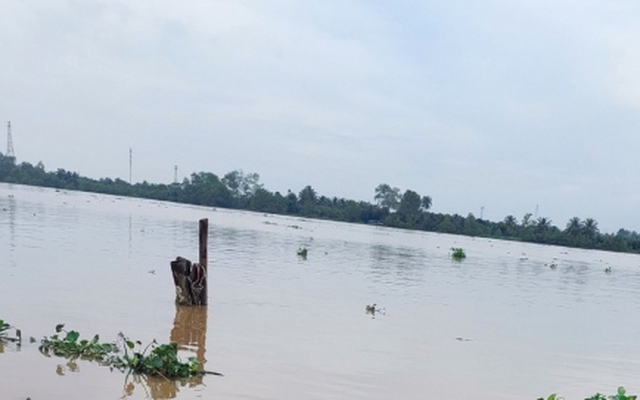 Nguyên quyền Giám đốc Bệnh viện Phụ sản Tiền Giang nhảy cầu tự tử