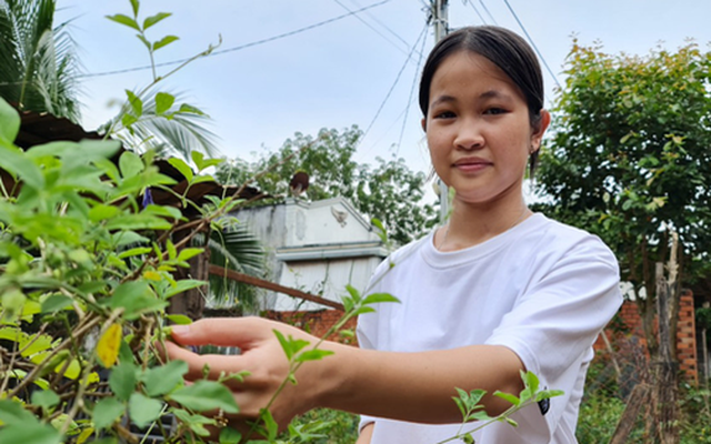 Gói mì bẻ đôi nuôi giấc mơ vươn xa