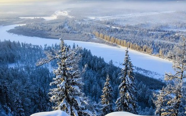 "Thây ma" Siberia hồi sinh sau 50.000 năm đóng băng: Cảnh báo rùng mình