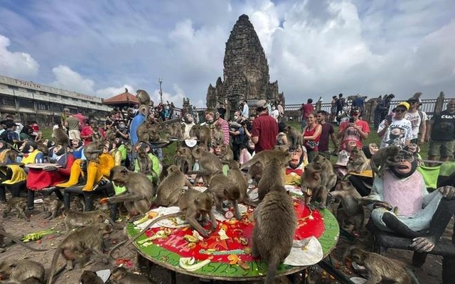 Người Thái Lan tổ chức tiệc tri ân cho gần 4.000 con khỉ