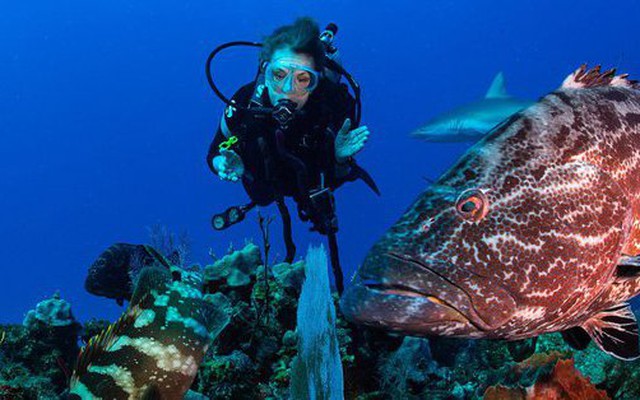 'Nữ hoàng đại dương' Sylvia Earle: U90 vẫn miệt mài bảo vệ môi trường dưới nước