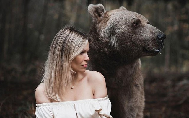 Lý do người mẫu vẫn an toàn khi chụp bộ ảnh thân mật với chú gấu nặng 350kg