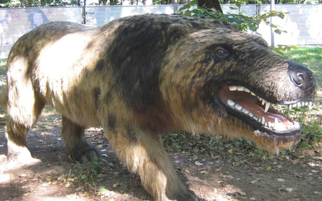 Andrewsarchus: Một trong những loài thú ăn thịt đáng sợ nhất từng tồn tại