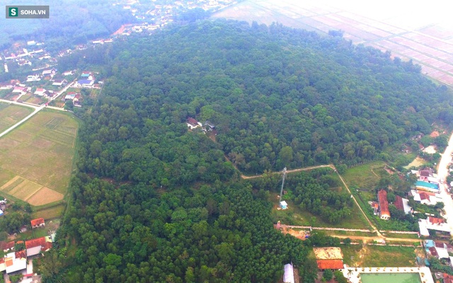 "Báu vật" hơn 300 năm tuổi trong vùng dân cư đông đúc ở Nghệ An