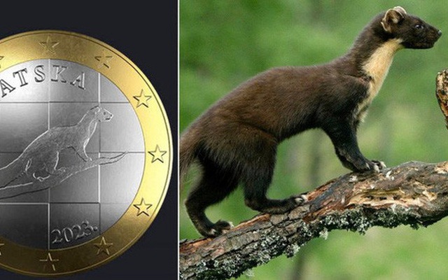 Thiết kế đồng 1 Euro tại Croatia bị hủy do nghi vấn vi phạm bản quyền