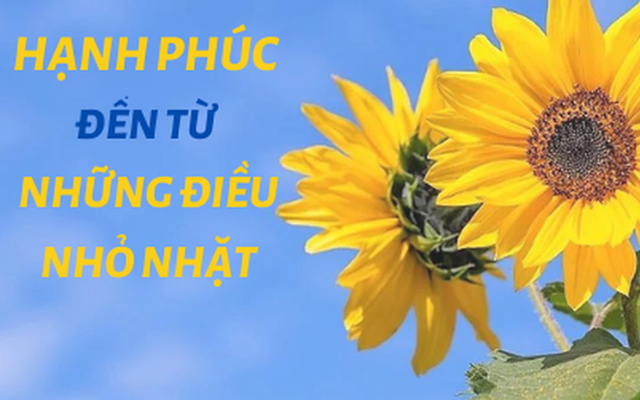 20 việc ĐH Harvard khuyên nên làm để tận hưởng hạnh phúc: Bắt đầu năm Nhâm Dần bằng nụ cười, cả năm nhất định tỏa sáng, tài lộc tự nhiên tìm tới