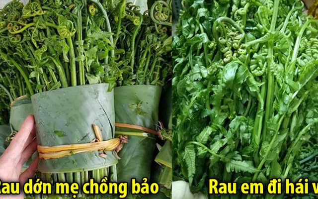 Hái rau dớn về cho nhà chồng ăn, cô gái bị mẹ chồng mắng "định cho cả nhà tôi đi xa à": Nguyên nhân phía sau khiến không ít người giật mình