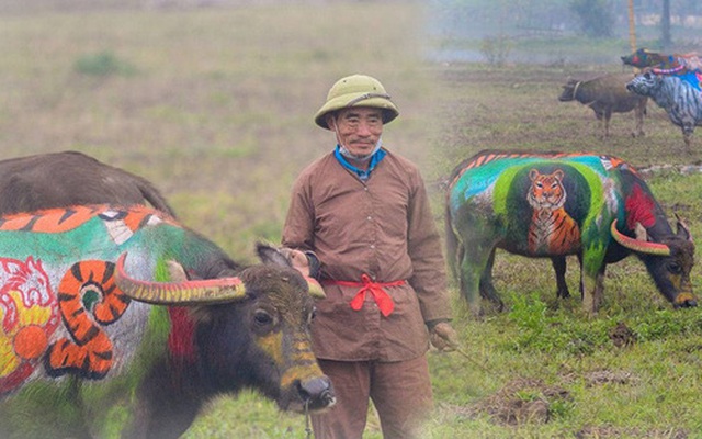 Ảnh: Độc đáo những chú trâu hoá hổ trong lễ Tịch điền năm Nhâm Dần 2022