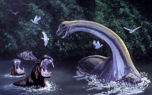 Mokele-Mbembe: Quái vật bí ẩn trong rừng rậm Châu Phi?