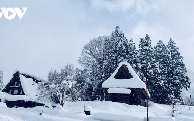 Ngẩn ngơ ngắm mùa đông cổ tích ở Shirakawa Nhật Bản