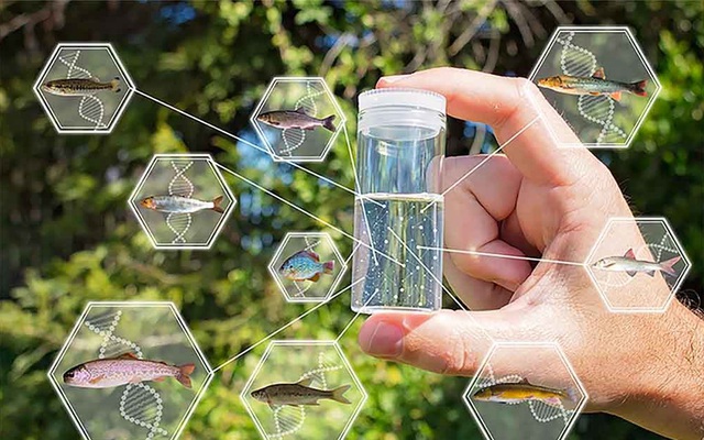 Giải trình tự DNA của môi trường: Kỹ thuật tạo ra cuộc cách mạng sinh học