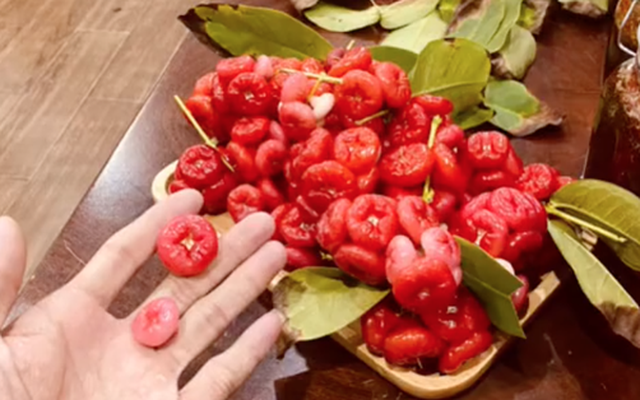 Loại quả dân dã của Việt Nam được nhận xét "ngon hơn cherry" khiến nhiều người thích thú vì "nhìn thôi cũng thấy ngon rồi"