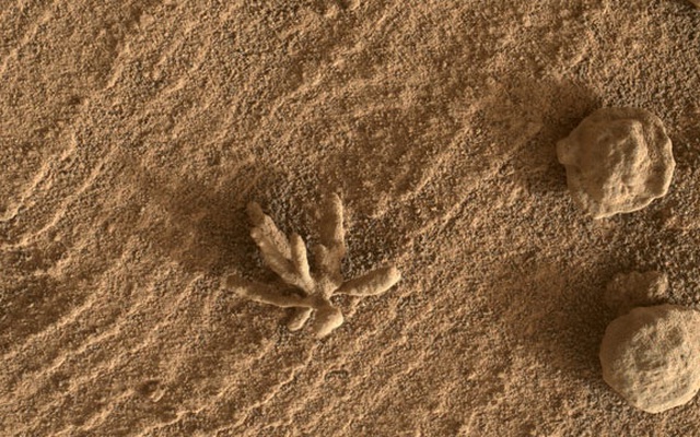 Tàu Curiosity tìm thấy vật thể giống san hô trên sao Hỏa