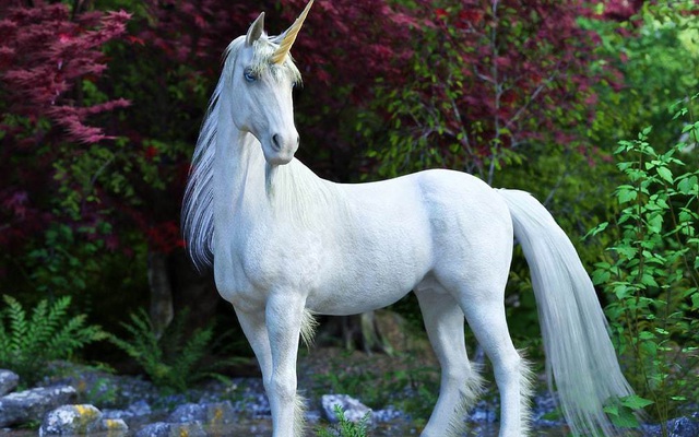 Huyền thoại kỳ lân unicorn bắt nguồn từ đâu, sự thật khiến tất cả bất ngờ