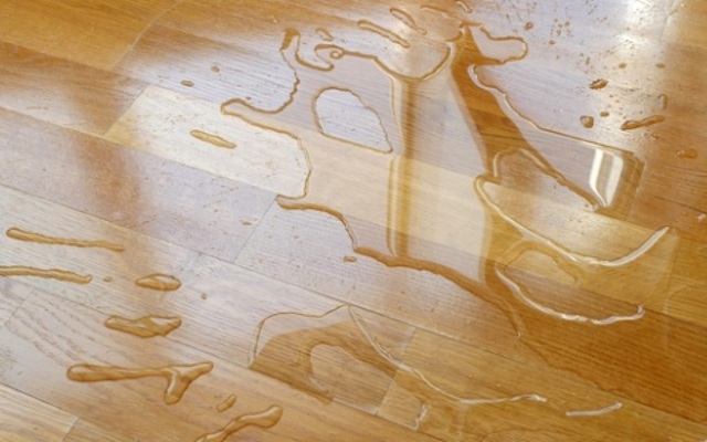 Sàn gỗ công nghiệp được quảng cáo chịu nước, chịu ẩm tốt: Thực sự có được như lời đồn?