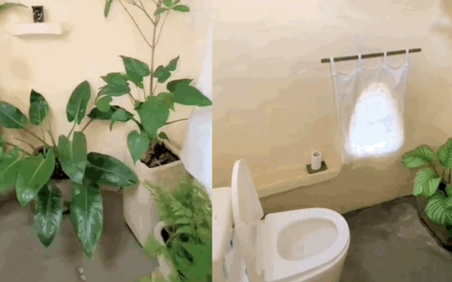 Đà Lạt chính là nơi có những cái toilet giải quyết nỗi buồn "đẹp nhất thế giới"