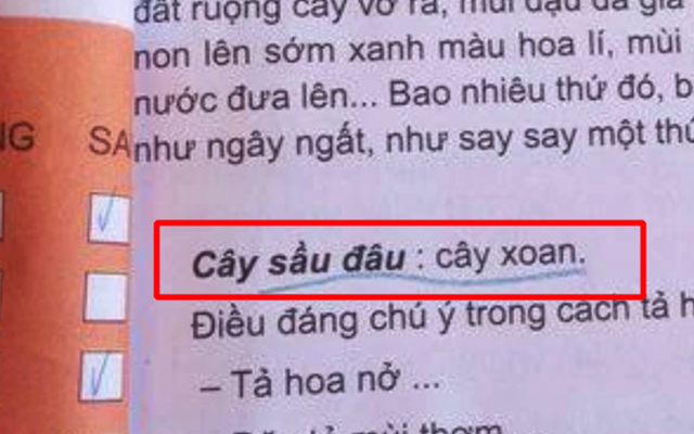 Giải nghĩa Tiếng Việt "cây sầu đâu là cây xoan" trong SGK lớp 4 gây lú lẫn: Hiểu được đúng cũng phải cao siêu lắm!