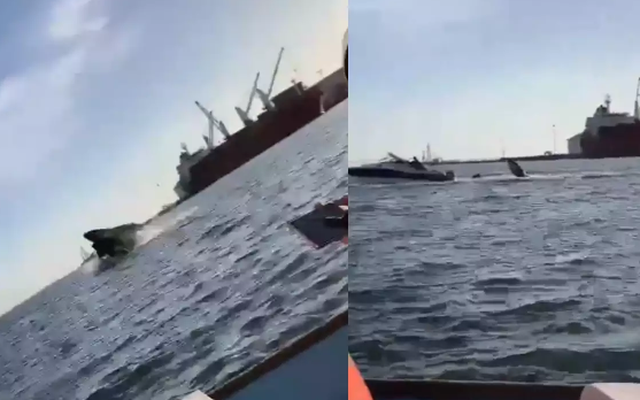 Kinh hoàng khoảnh khắc cá voi lưng gù húc tung thuyền khiến du khách gãy chân