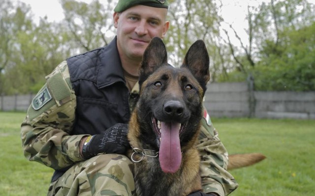Chú chó bị ngược đãi được giải cứu gia nhập quân đội Hungary