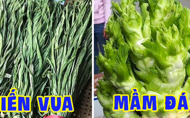 Việt Nam có 4 loại rau giá đắt hơn cả thịt cá, muốn ăn cũng chưa chắc đã có để mua