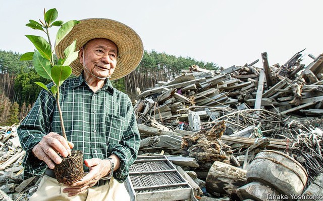 Trồng rừng kiểu Miyawaki