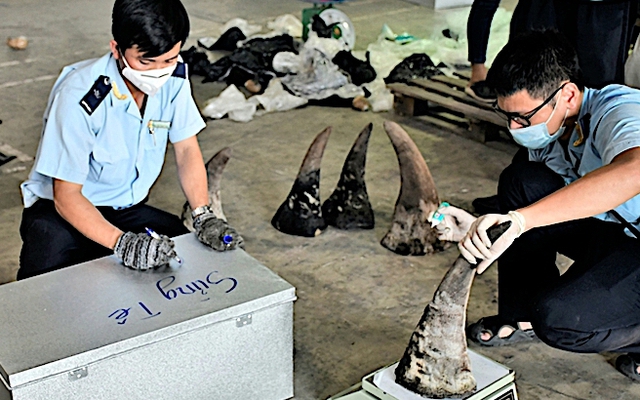 Công an Đà Nẵng triệt phá vụ buôn lậu động vật hoang dã trị giá 300 tỉ đồng