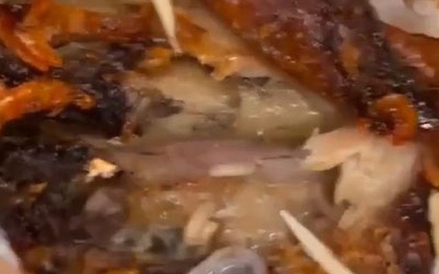 Dòi bò trong hộp xôi gà của sinh viên