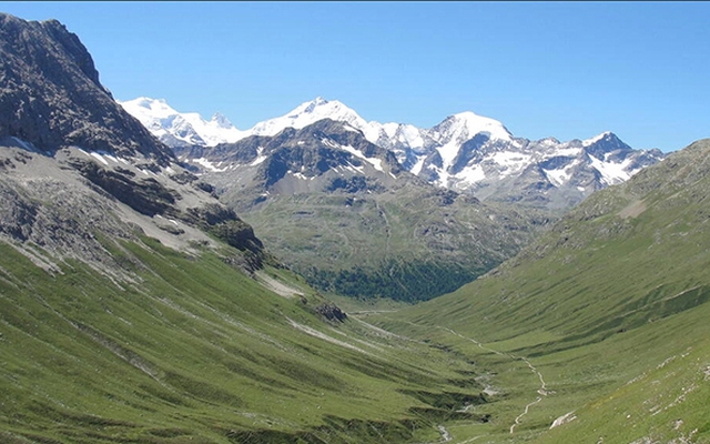 Tuyết tan chảy, đỉnh Alps đang 'xanh hóa' mạnh mẽ