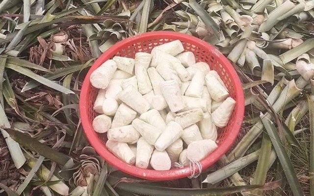 Phần bỏ đi của cây dứa không ngờ là món ăn đặc sản nổi tiếng, được ưa chuộng đến lạ, 70.000 đồng/kg