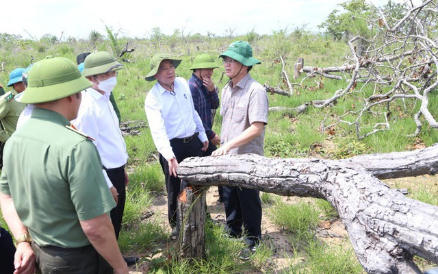 Kỷ luật 2 cán bộ liên quan vụ phá rừng lớn nhất Đắk Lắk
