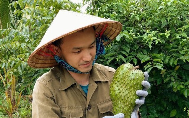 9X từng làm hỏng cả tấn mãng cầu, giờ có doanh thu 3 tỷ đồng mỗi năm nhờ biến quả tươi rẻ tiền thành loại trà độc đáo