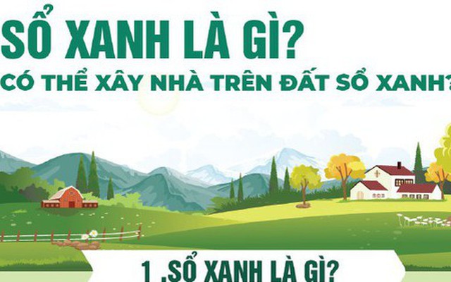 [Infographic] Sổ xanh là gì? Có thể xây nhà trên đất sổ xanh?