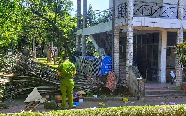 Ngồi nghỉ mát trong công viên, cụ ông bị cây cọ dừa đổ đè tử vong