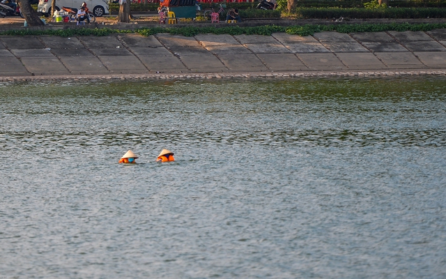 Giữa trời nắng chang chang, bất chấp biển cấm, người dân đội nón bơi ra giữa hồ Linh Đàm