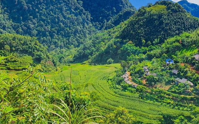 Son Bá Mười - "người đẹp ngủ trong rừng" Pù Luông