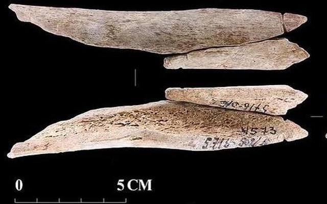 Kho báu kinh hoàng ở Nga: Thuộc về "người quái vật" 8.200 tuổi?