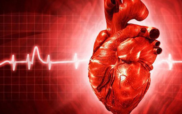 Phát hiện gene quan trọng trong chữa lành tổn thương tim