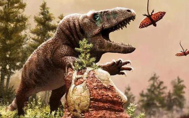 Con người vô tình tạo ra thứ từng giúp khủng long ra đời?