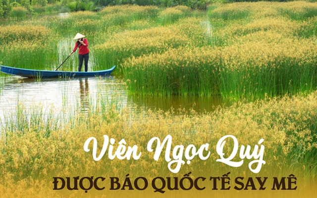 1 nơi ở Việt Nam được chuyên trang du lịch quốc tế gọi là 'Viên ngọc quý': Niềm mơ ước của người mê sinh thái