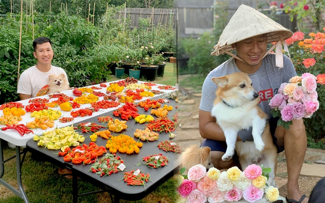 Chàng trai Việt trồng hơn 500 giống ớt, khu vườn 300 m2 ngập rau trái quê