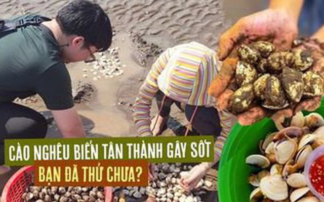 Trải nghiệm cào nghêu ở biển Tân Thành đang “gây sốt”