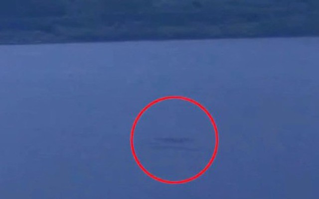 Một người chụp được quái vật hồ Lock Ness rất rõ?