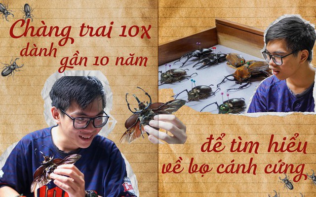 Chàng trai dành gần 10 năm để tìm hiểu về bọ cánh cứng