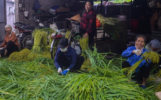 Hà Nội: Làng cốm Mễ Trì tất bật vào vụ lớn nhất trong năm