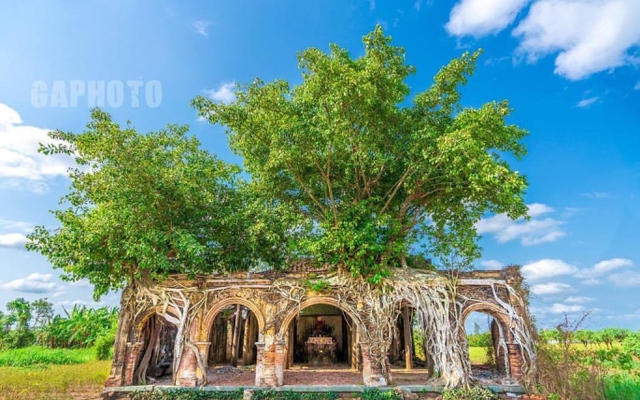 Vẻ cổ kính bí ẩn ở ngôi đình trăm tuổi ‘hợp nhất’ với cây bồ đề