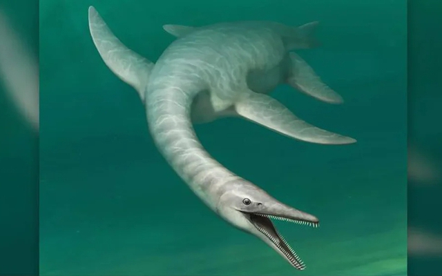 Tìm thấy quái vật chưa từng biết trên thế giới: Mặt cá sấu, cổ rắn, mình khủng long