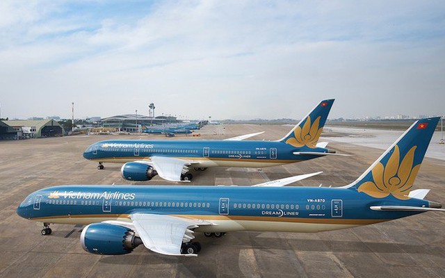 Hình ảnh Bông Sen Vàng của Vietnam Airlines xuất hiện khi nào?