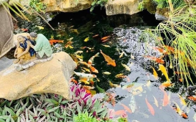 Vườn Nhật, cá koi - thú chơi tiền tỷ của nhà giàu Việt