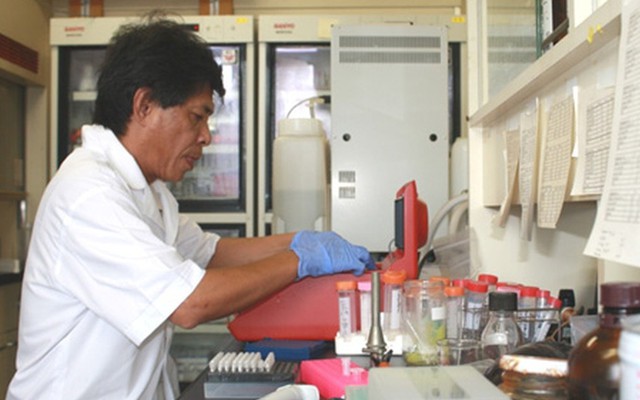 Nhà khoa học Việt tìm ra hoạt chất kháng virus từ rong đỏ
